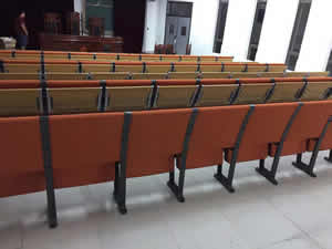 Dongguan Songshan Middle School Step Chair image